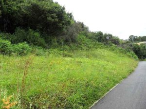 Cofivacasa - terreno Llaranes Avilés Asturias
